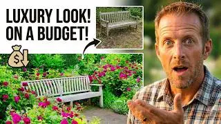 9 Budget Friendly Landscaping Secrets That Looks Like You Spent Thousands