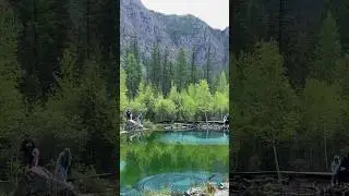 Покой на Алтае #горы