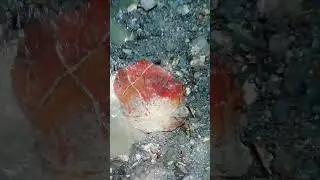 Солнечный Крест. Новороссийские горы. Чудо природы.