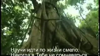 Черная стрела # песня rus