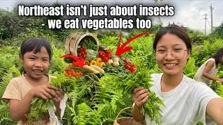 Northeast isn’t just about insects - we eat vegetables too 😡