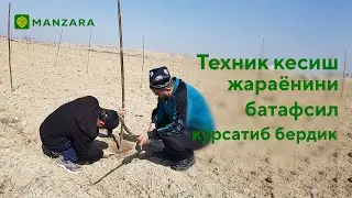 #Pavloniya​ #Pavlovniya​ #Pavlouniya​                                   Манзара ходимлари Aндижонда!