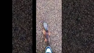 Давай орехи... орехи давай🐿🐿🐿🐿🐿🐿