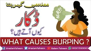 Why does Belching Occur ? Its Causes and Treatment | Best Homoeopathic Remedies for Burping Bloating