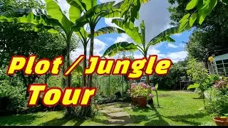 July plot Tour or should I say Jungle Tour