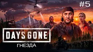 🧟Days Gone ► ГНЕЗДА ► #5