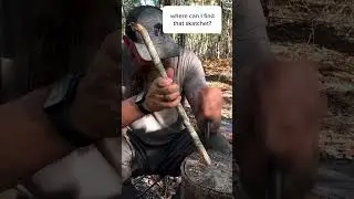 We revived this lost bushcraft tool