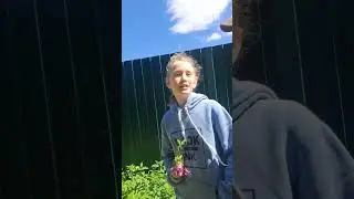 3 мая