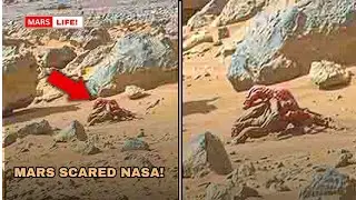 NASA's Mars Rover Just Made A Terrifying New Discovery That Changes The World! #universetraffic