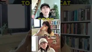 It was actually one cat, but who's counting? To see the full episode subscribe to our Substack.