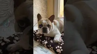 Всички ме обиждат🥺🥺🥺 