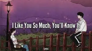 I Like You So Much, You’ll Know It - Ysabelle Cuevas (Lyrics)🎵