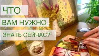 Что мне нужно знать сейчас? 