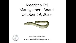 American Eel Board Proceedings October 2023
