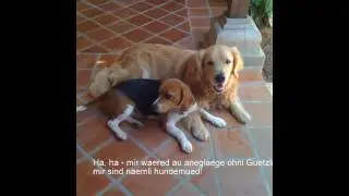Sprudel & Fino bim Fototermin