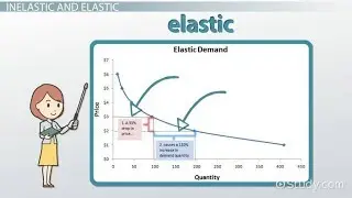 What is the elasticity of demand? How can you measure the elasticity of demand?