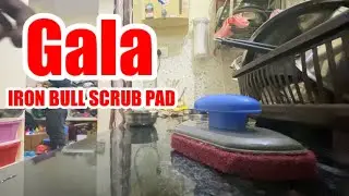 Gala Iron Bull Scrub Pad
