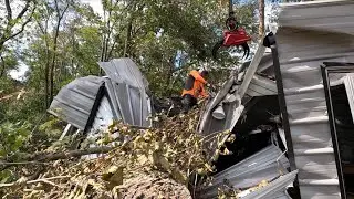 Gum tree killed this jeep & the shop its sitting inside
