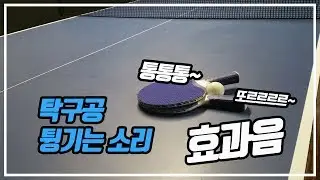 [1 minute sound effect] Ping Pong Sound
