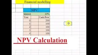 How to Calculate Net Present Value (Npv) in Excel, Financial Modelling