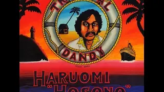 Haruomi Hosono - Silk Road (絹街道 Kinukaidō)