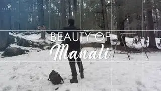 MS_CREATIVE || Modern Photo Slideshow [After Effect]