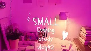 small Evening study vlog #2