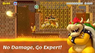 No Damage, Go Expert (Mario Maker 2) by (C) Colin