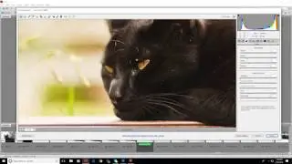 Adobe Bridge: Introduction