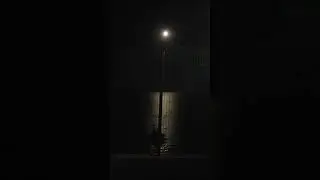 море под звездным небом и лунным сиянием