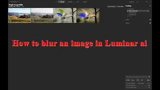 How to blur an image in Luminar ai