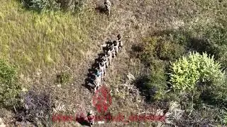 Под Курском сдаются подразделения ВСУ.
