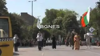Кон със собствено мнение