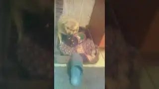 Зашитнеца бутилки