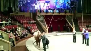Неудачный поход в цирк