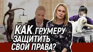 Как грумеру защитить свои права?  Консультация юриста.