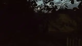 ахах олух косоногий