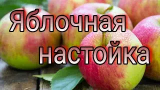 Яблочная настойка