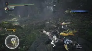 MR Rathian gets dunked on