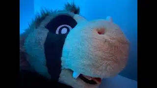 im not a furry guys come on