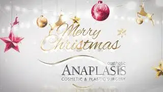 Aesthetic Anaplasis Christmas 2020 wishes