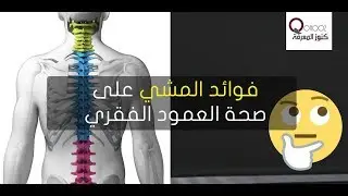 فوائد رياضة المشي  على صحة العمود الفقري