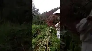 Mobil terjatuh ke jurang saat banjir bandang di Bogor