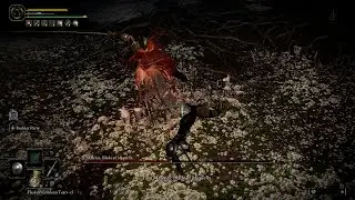 lofi beats to get your ass beaten by malenia to | Elden Ring