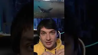 интересные факты про утконосов #рекомендации