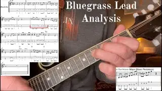 Bluegrass Lead Breakdown and Analysis
