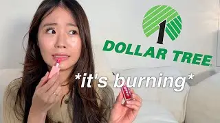 I TESTED A FULL FACE OF DOLLAR TREE MAKEUP.....(I hope I don't break out)