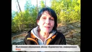 Мысли вслух, обзор 
