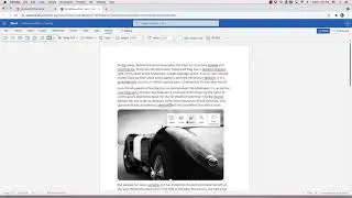 Quick Video Word Online: Changing image size incrementally