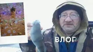 ВЛОГ:Геннадьевич на рыбалке. Заказала подарки. Новая клеенка на стол....